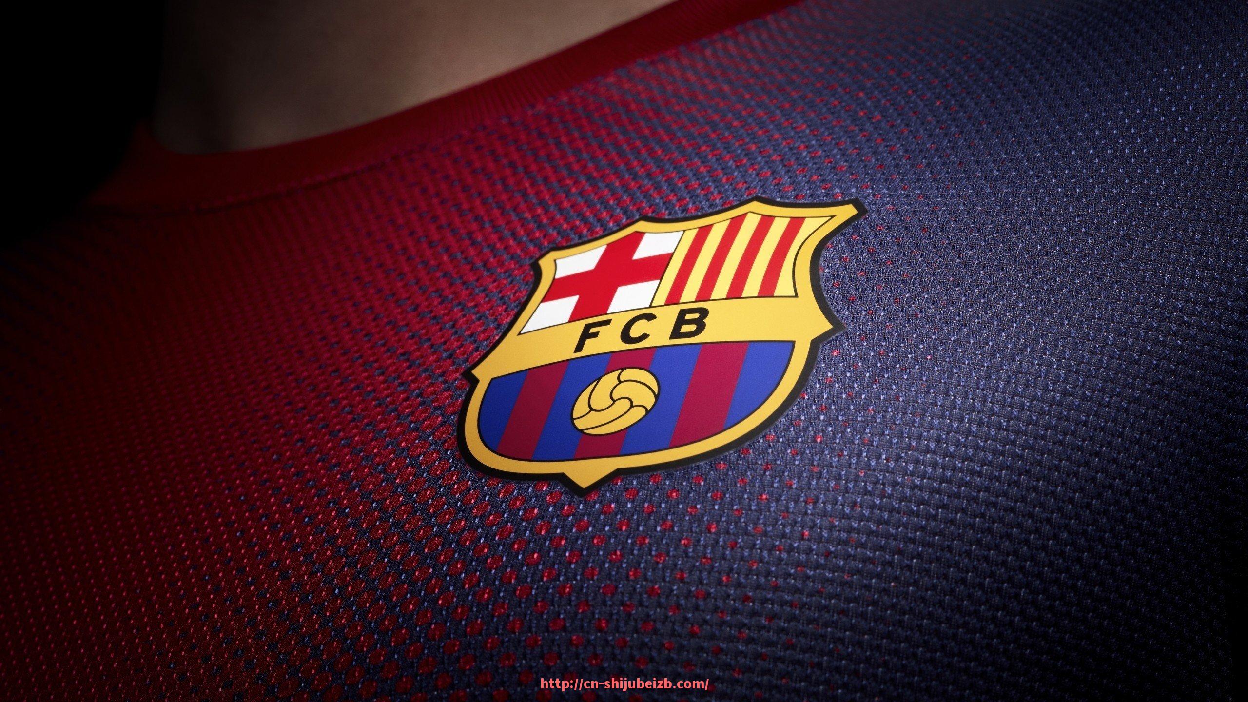 世俱杯直播-世俱杯球员签证办理流程及国际赛事参赛保障